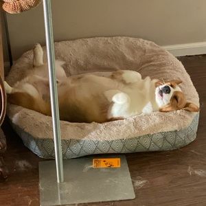 Meet your Posher, Haley